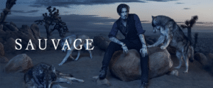 Cover Sauvage